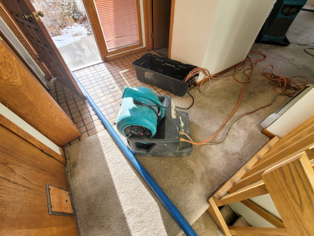 Carpet water damage restoration in Nixa, MO