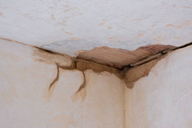 Best Flood restoration services  in Nixa, MO