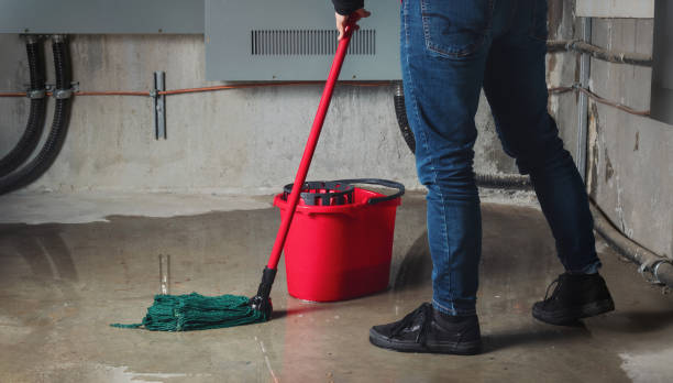 Best Sewage cleanup and water damage restoration  in Nixa, MO