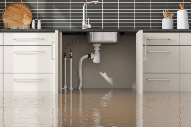 Reliable Nixa, MO Water damage restoration Solutions