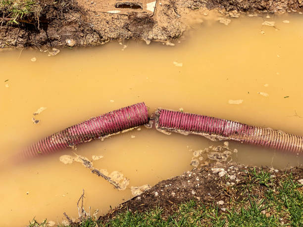 Best Sewage cleanup and water damage restoration  in Nixa, MO